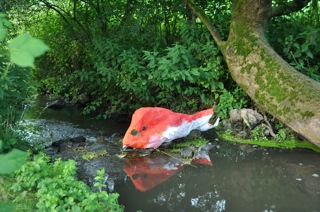 jadicker-fisch-sandra-steinwender